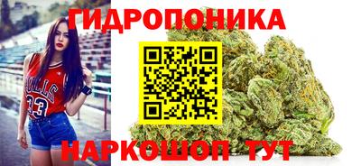 ПСИЛОЦИБИНОВЫЕ ГРИБЫ Нальчик