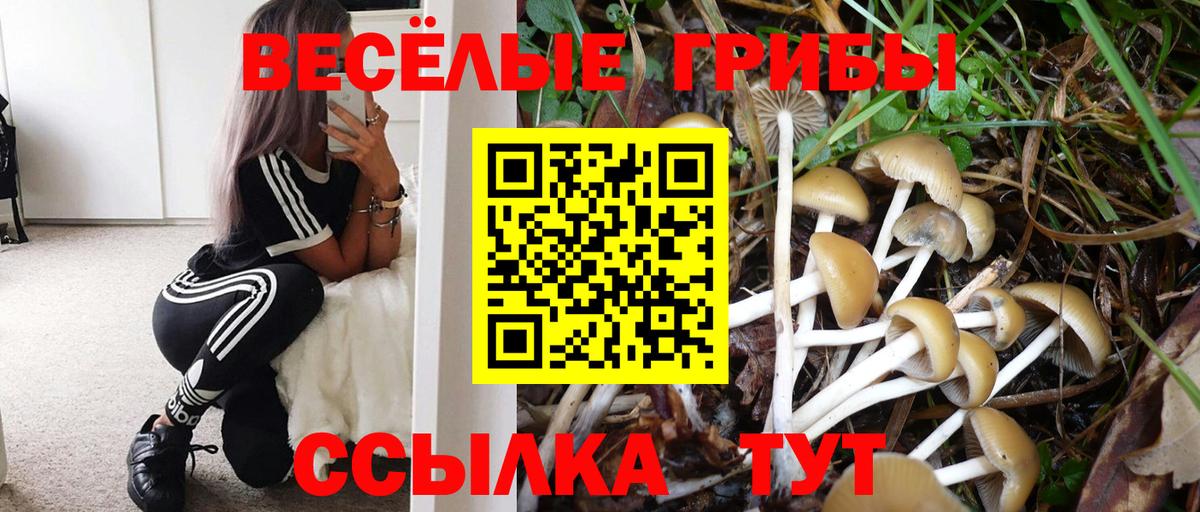Тобольск  Псилоцибиновые грибы прущие грибы  Вход с VPN  Галлюциногенные грибы Magic Shrooms 
